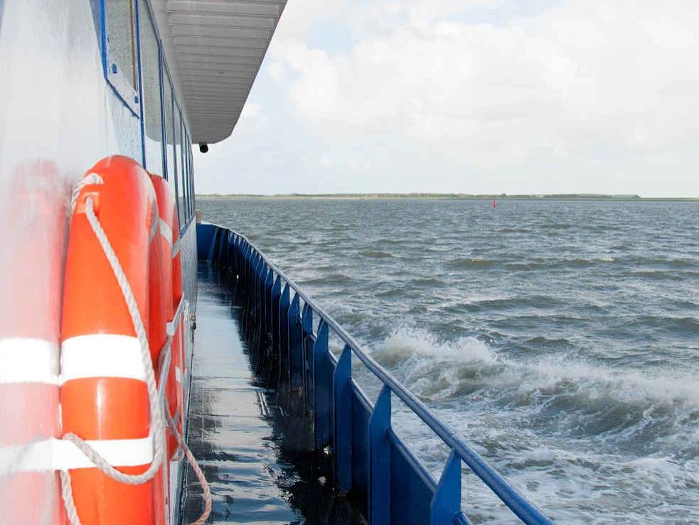 M.S. Zeehond