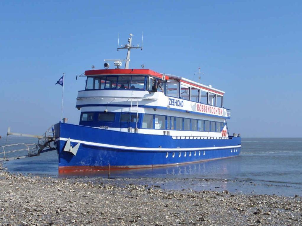 Auf der Muschelbank